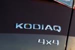 Skoda Kodiaq Scout 2017 года (WW)